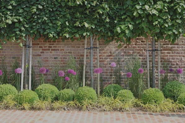 What To Consider When Planning Premium Landscaping For Your Garden