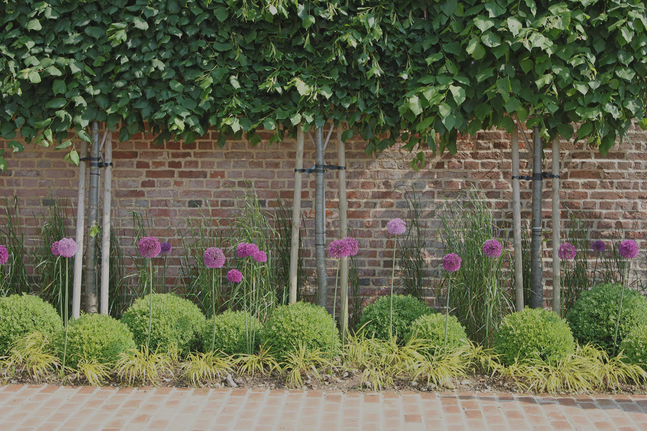 What To Consider When Planning Premium Landscaping For Your Garden